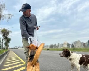 Ultra Triatlo no Brasil: Desafio Extremo e Solidariedade Animal